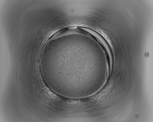 X0000099560385200805161458