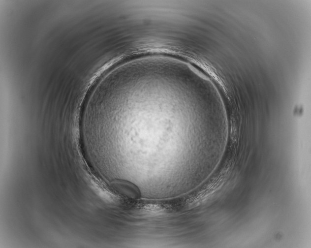 X0000099560390200805161458