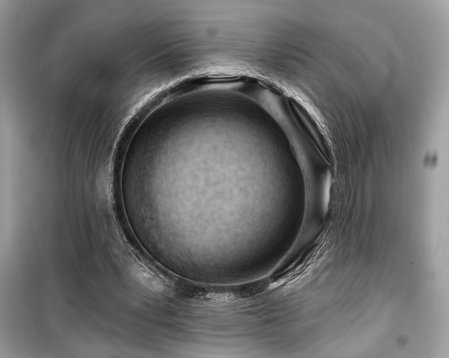 X0000099560391200805161458