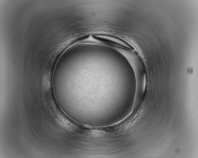 X0000099560393200805161458