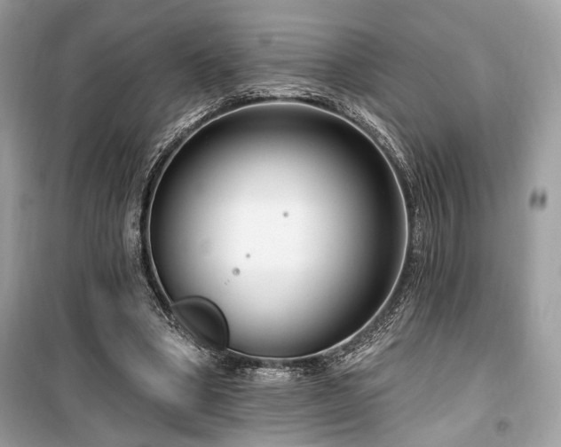 X0000099560394200805161458