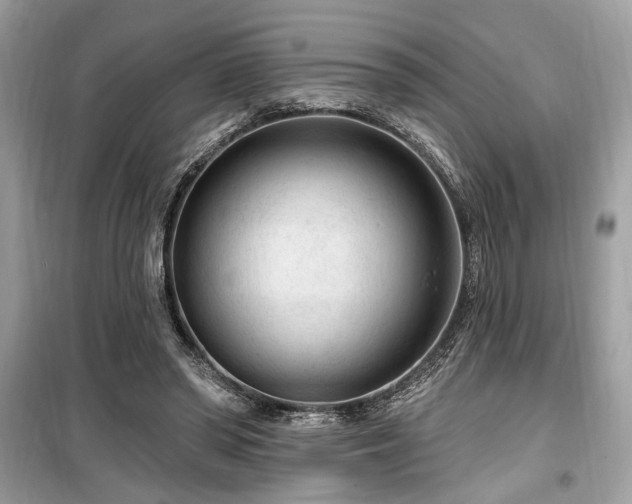 X0000099560398200805161458