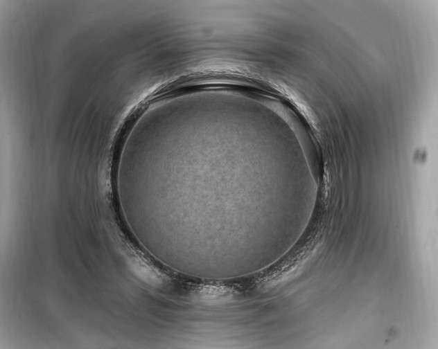 X0000099560399200805161458