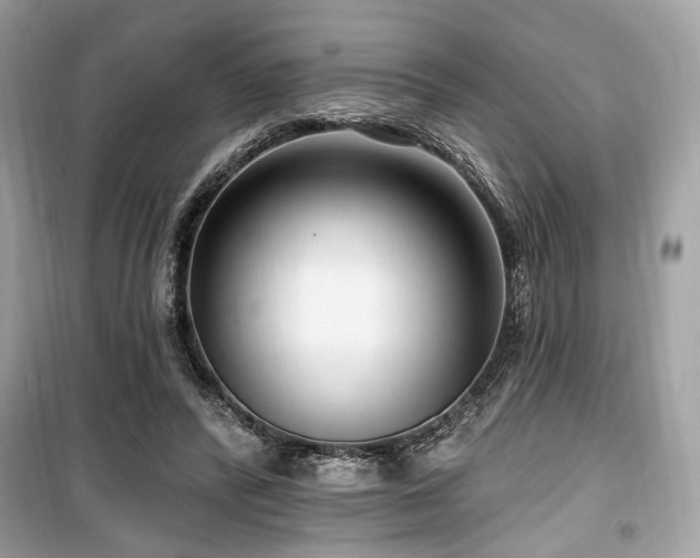 X0000099560400200805161458