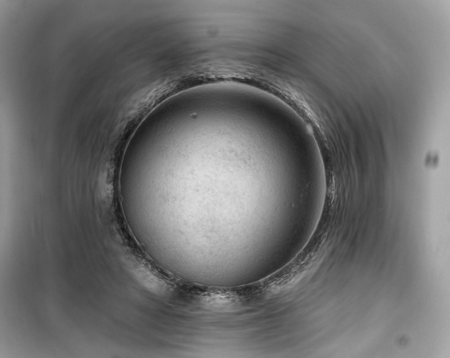 X0000099560402200805161458