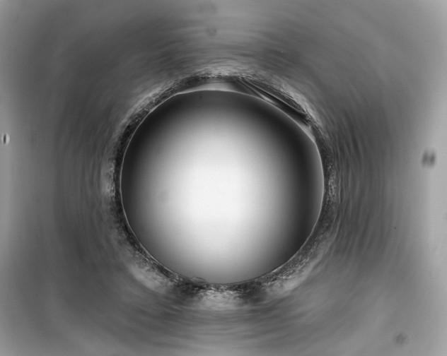 X0000099560403200805161458