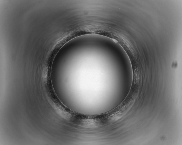 X0000099560404200805161458