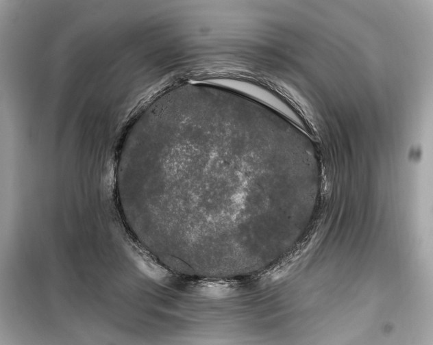 X0000099560405200805161458