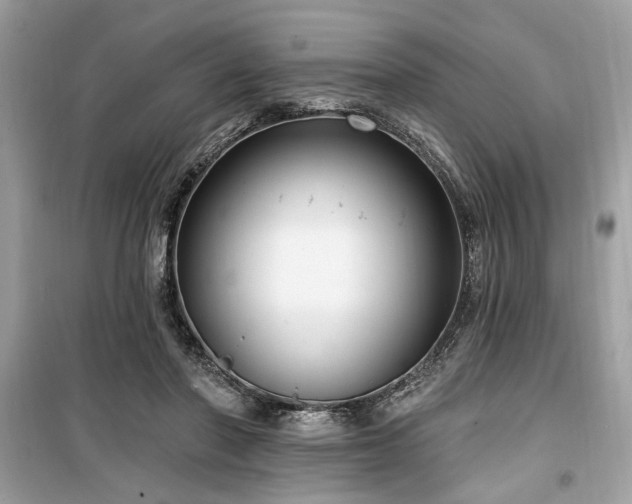 X0000099560406200805161457