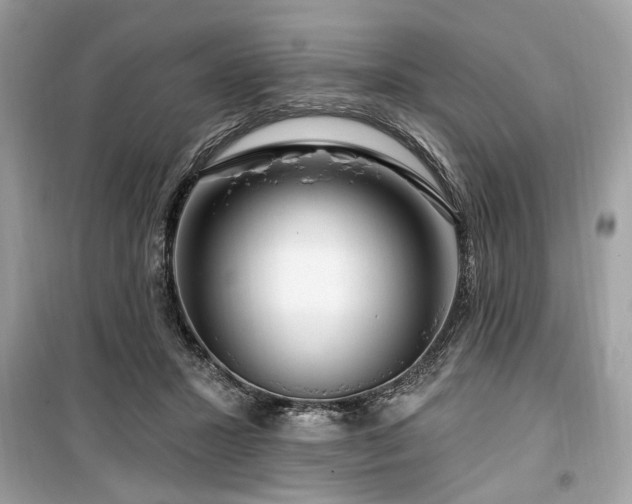 X0000099560407200805161457