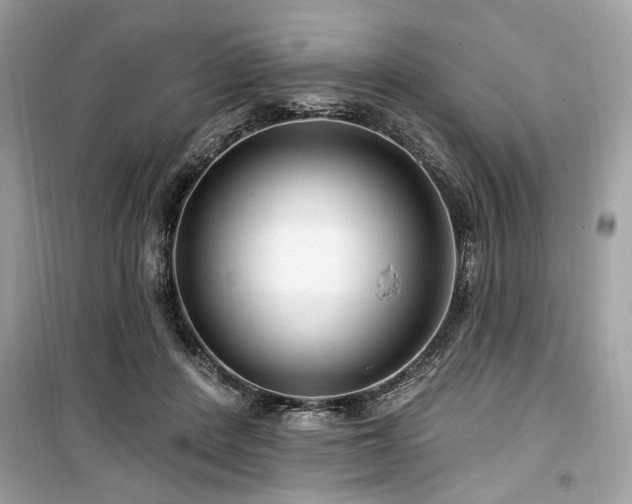 X0000099560408200805161457