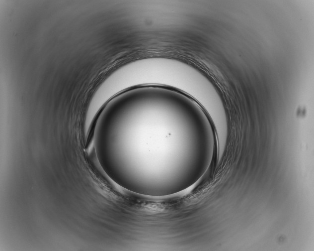 X0000099560409200805161457