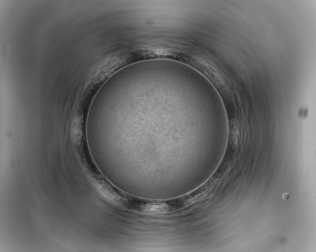 X0000099560410200805161457