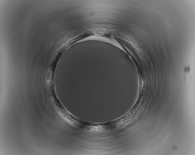 X0000099560411200805161457