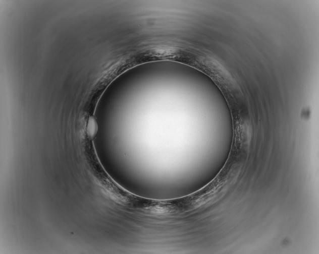 X0000099560412200805161457