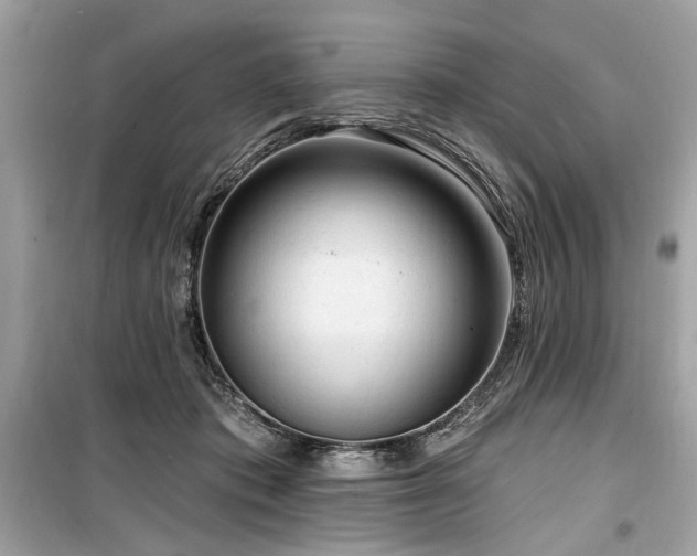 X0000099560413200805161457