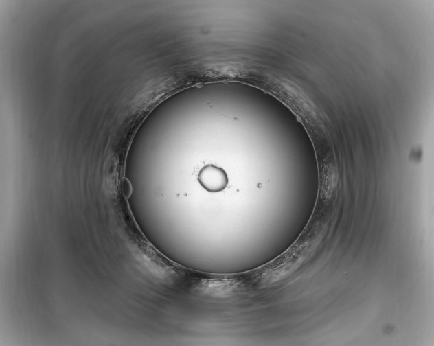 X0000099560414200805161457