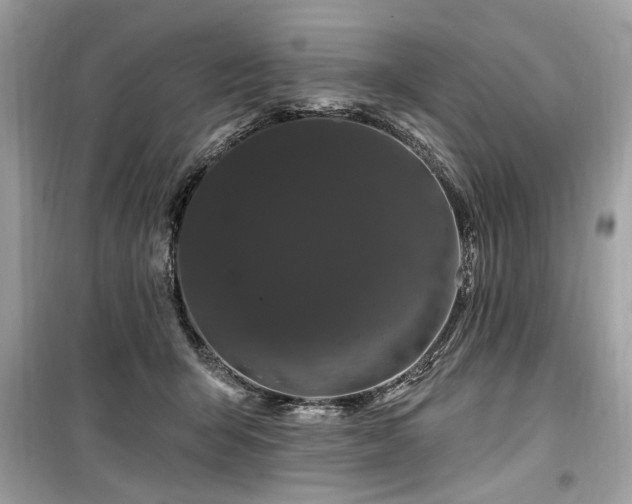 X0000099560415200805161457