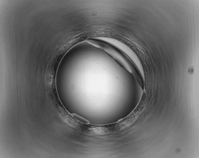 X0000099560417200805161457