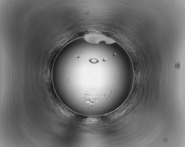 X0000099560418200805161457