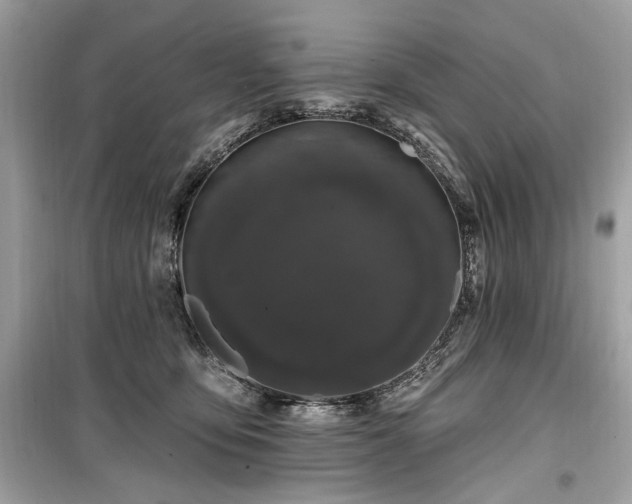 X0000099560419200805161457