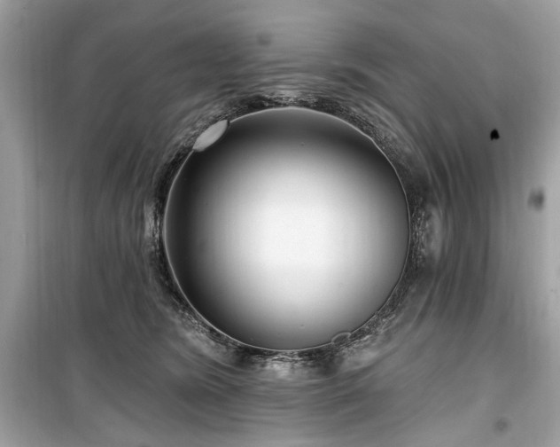 X0000099560420200805161457