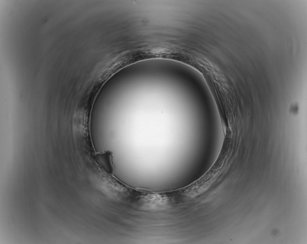 X0000099560421200805161457