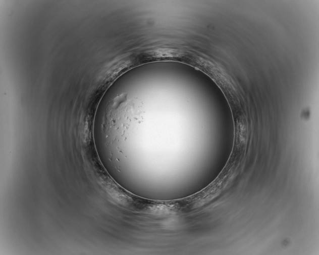 X0000099560422200805161457