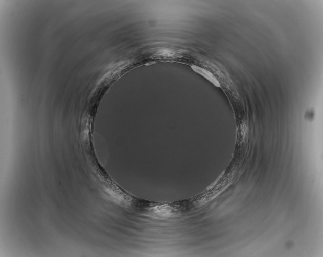 X0000099560423200805161457