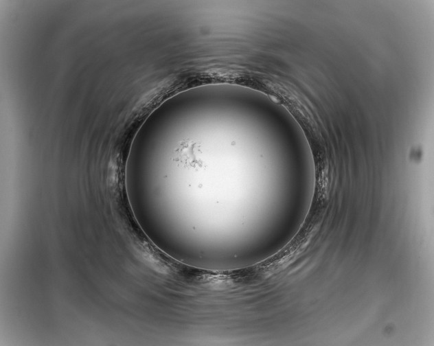 X0000099560424200805161457