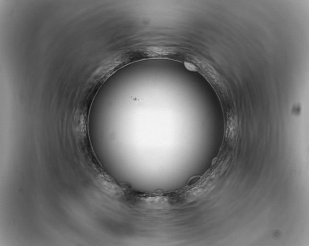 X0000099560426200805161457