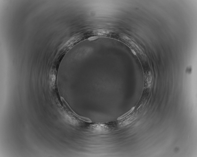 X0000099560427200805161457