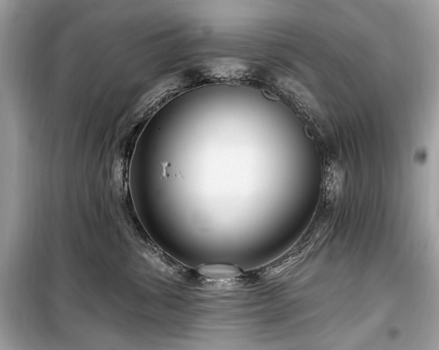 X0000099560428200805161457