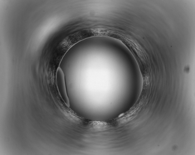 X0000099560429200805161457