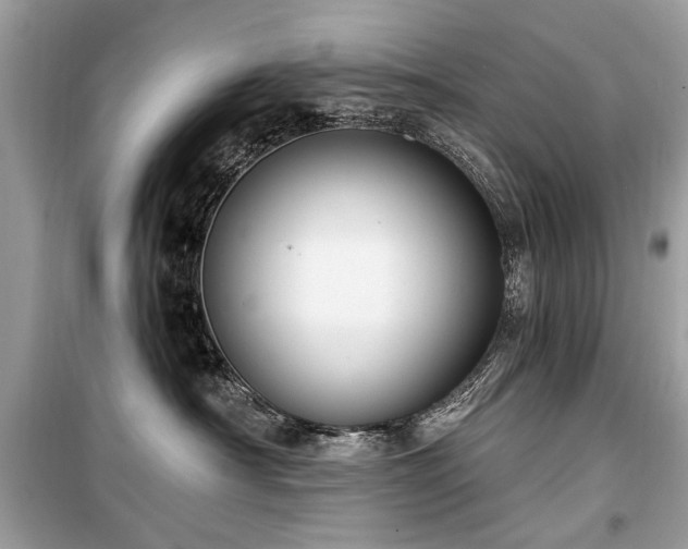 X0000099560430200805161457