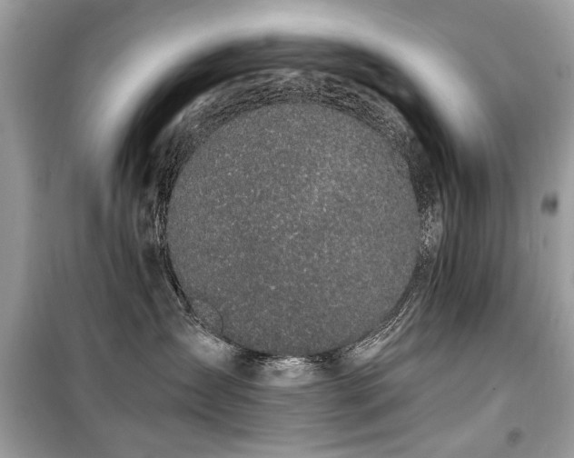 X0000099560431200805161457