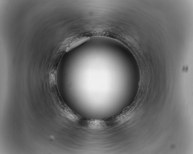 X0000099560432200805161457