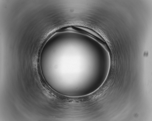 X0000099560434200805161456