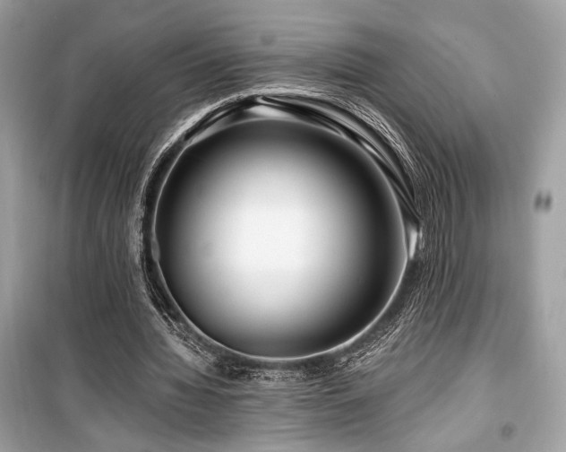 X0000099560436200805161456