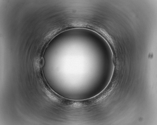 X0000099560441200805161457