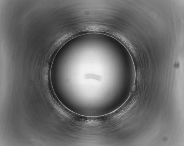 X0000099560445200805161457