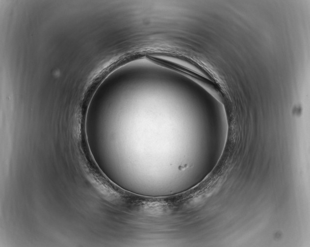 X0000099560446200805161457