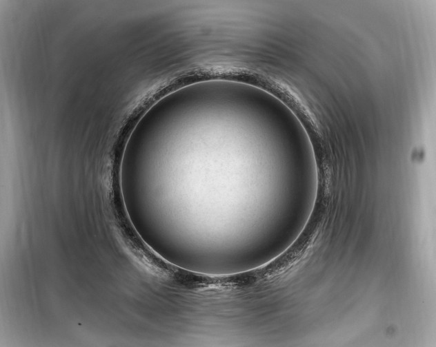 X0000099560447200805161457