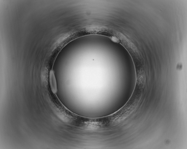 X0000099560448200805161457