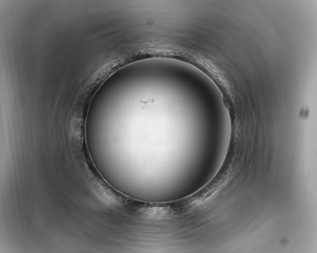 X0000099560449200805161457