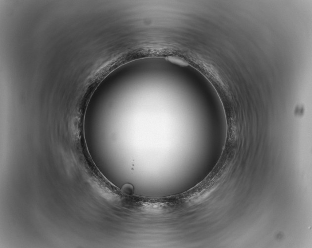 X0000099560450200805161457