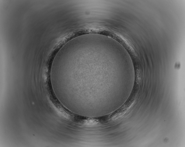 X0000099560451200805161457