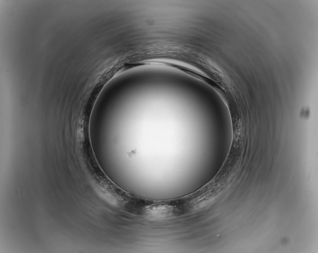 X0000099560452200805161457