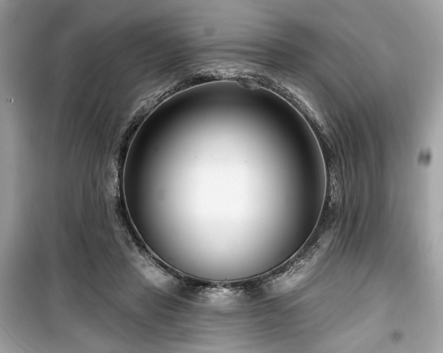 X0000099560453200805161457