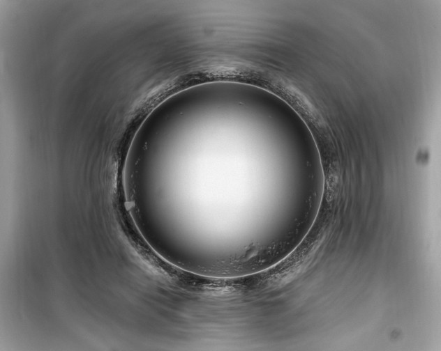 X0000099560454200805161457